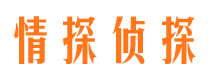 江城市调查公司